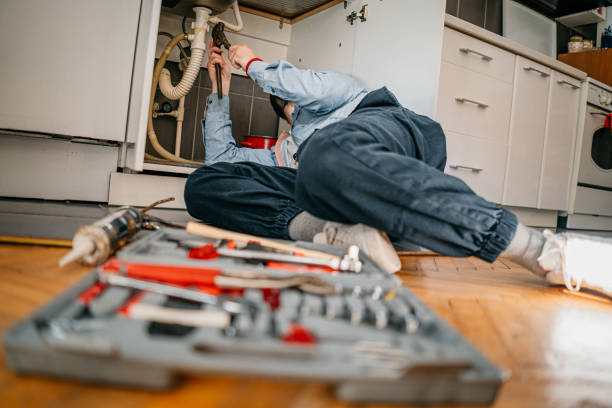 Best Toilet Repair Services  in Lapel, IN