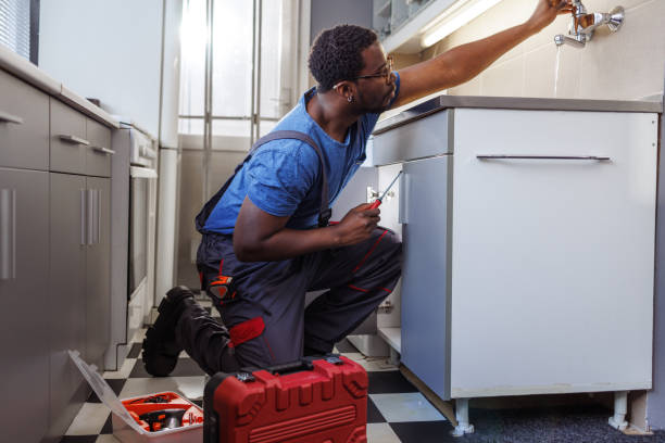 Best Affordable Plumbing Services  in Lapel, IN